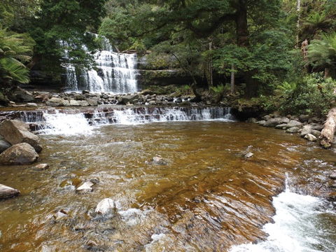 Liffey Falls Reserve - Mackay Tourism 1