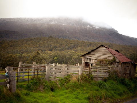 Liffey Falls Reserve - Mackay Tourism 2