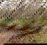 Livingstone National Park - Mackay Tourism