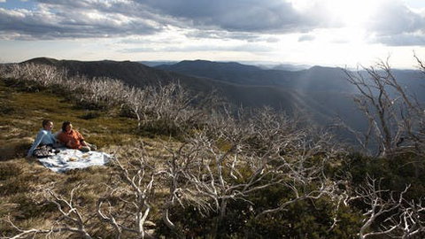 Mount Hotham - Mackay Tourism 2
