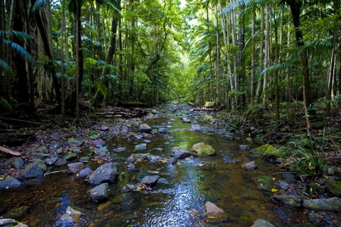 Nambucca Valley - Mackay Tourism 0