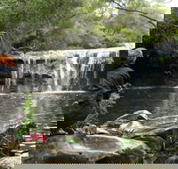Nellies Glen Picnic Area - Mackay Tourism