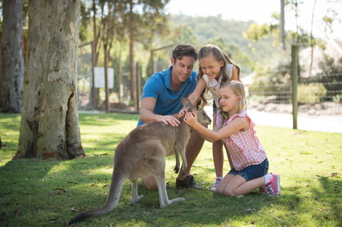 Paradise Country - Mackay Tourism 2