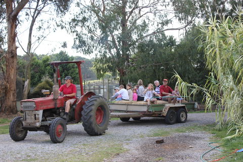 Rain Hayne And Shine Farmyard - Mackay Tourism 1