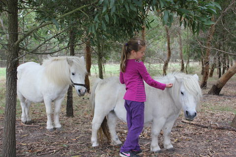 Rain Hayne And Shine Farmyard - Mackay Tourism 2