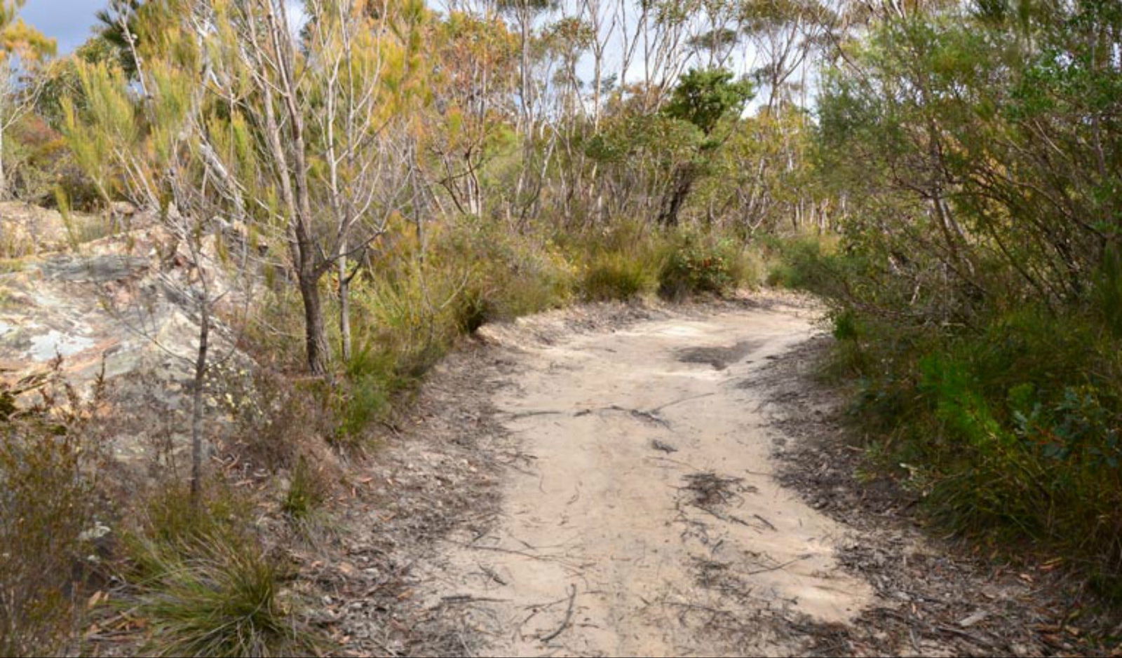 Browns Mountain NSW Mackay Tourism