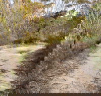 Red Rocks trig walking track - Mackay Tourism