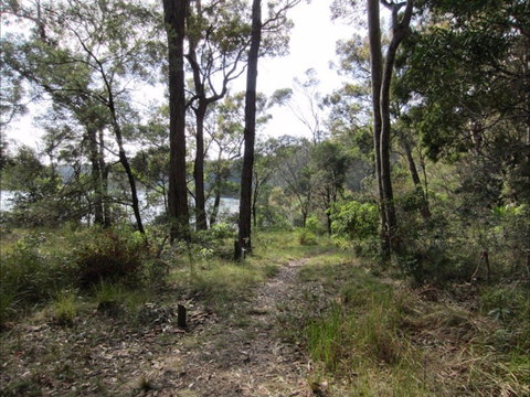 Ringlands Rotary Walk Narooma - Mackay Tourism 2