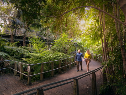 Roma Street Parkland - Mackay Tourism 2