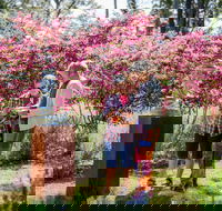 Sculpture at Petana - Mackay Tourism