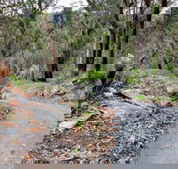 Stepping Stone Crossing to Cascades Trail - Mackay Tourism