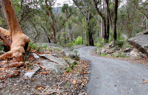 Stepping Stone Crossing To Cascades Trail - Mackay Tourism 0