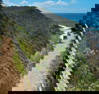 The Coast Walking Track - Mackay Tourism