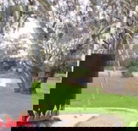 Trangie Big Billy - Mackay Tourism