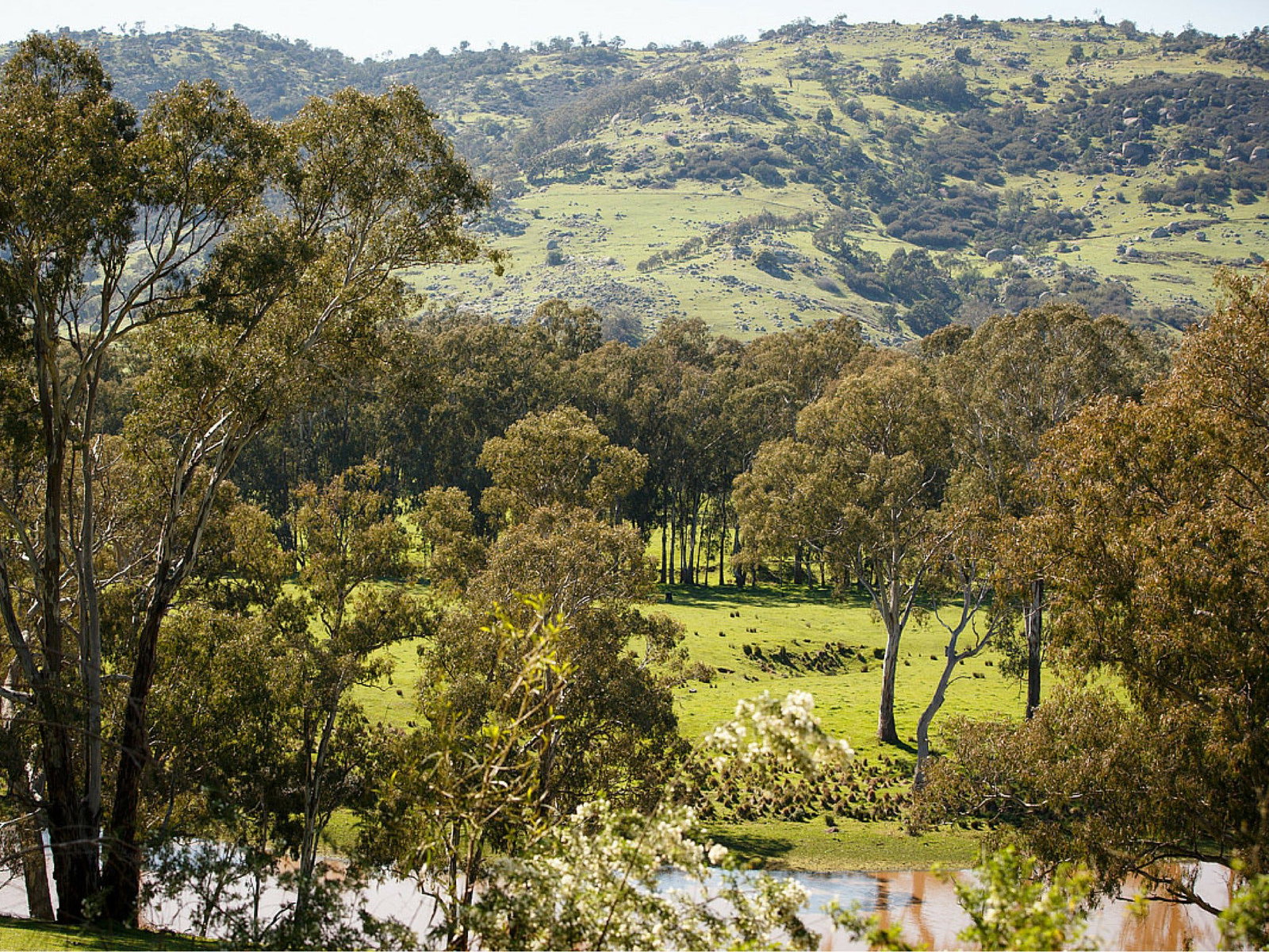 Trawool VIC Mackay Tourism