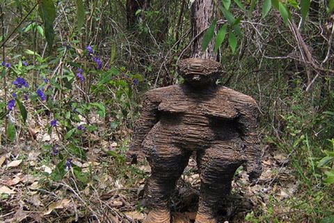 Understory Art In Nature - Mackay Tourism 0
