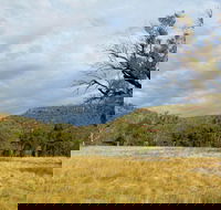 Weddin Mountains National Park - Mackay Tourism