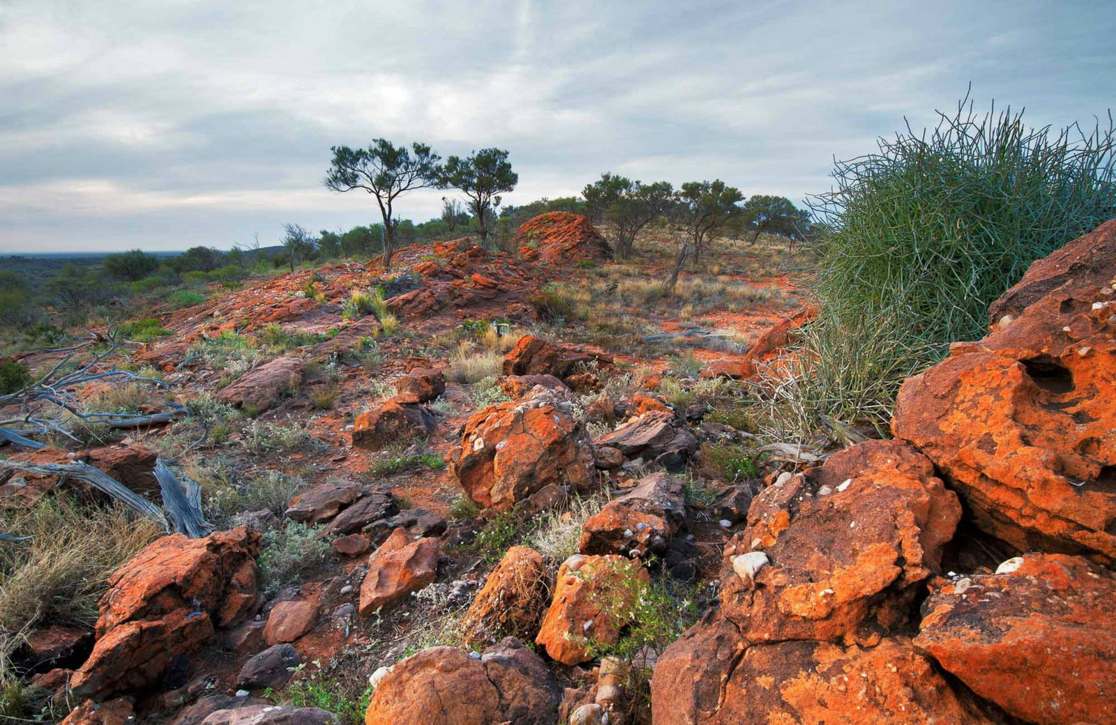 Mutawintji NSW Mackay Tourism