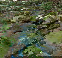 Whian Whian State Conservation Area - Mackay Tourism