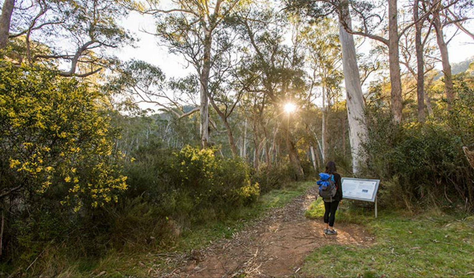 Mackay Tourism
