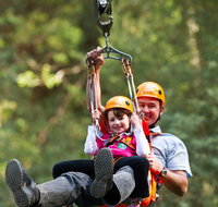 Zipline at Illawarra Fly - Mackay Tourism