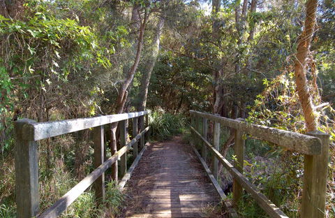 Awaba Bay Foreshore Walk - Mackay Tourism 0
