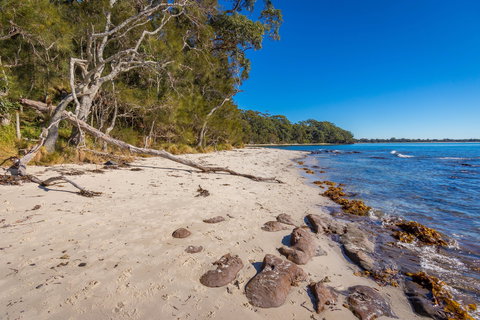 Barfleur Beach - Mackay Tourism 0