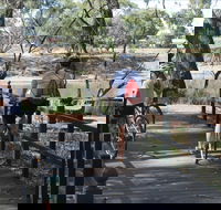 Bidgee Riverside Trail  - Hay Nature Walk - Mackay Tourism