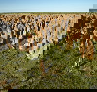 Borroloola - Mackay Tourism