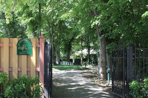 Bungendore Heritage Walk - Mackay Tourism 0