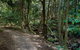Cascades Walk - thumb 0