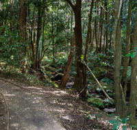 Cascades Walk - Mackay Tourism