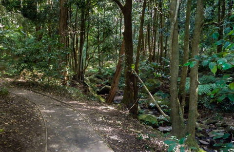 Cascades Walk - Mackay Tourism 0