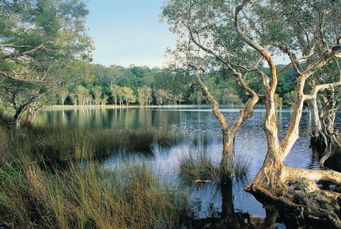 Cooloola, Great Sandy National Park - Mackay Tourism 1