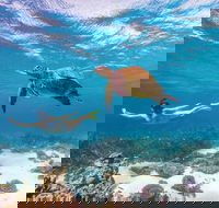 Coral Bay - Mackay Tourism