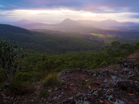 Cunninghams Gap And Spicers Gap, Main Range National Park - Mackay Tourism 0