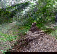 Double Wharf Trail - Mackay Tourism