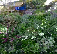 Down to Earth Permaculture - Mackay Tourism