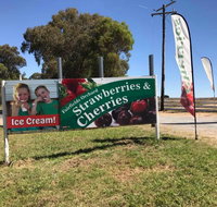 Fairfield Orchard - Mackay Tourism