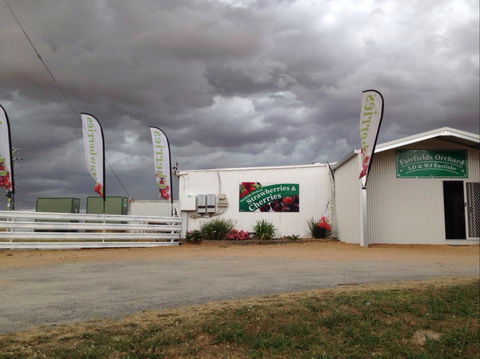Fairfield Orchard - Mackay Tourism 2