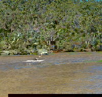 Fitzpatrick Park - Mackay Tourism