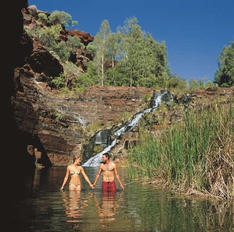 Fortescue Falls - Mackay Tourism 0