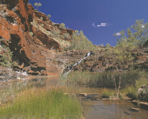 Fortescue Falls - Mackay Tourism 1