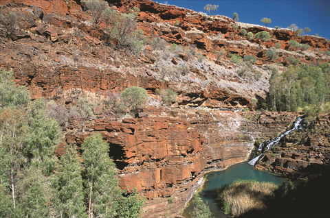 Fortescue Falls - Mackay Tourism 2