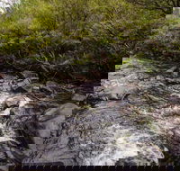 Gloucester River walking track - Mackay Tourism