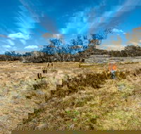 Goldseekers track - Mackay Tourism