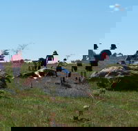 Jim Salmon  Wetland Education Site - Mackay Tourism