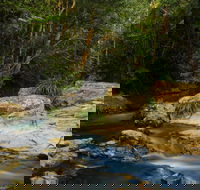 Jumrum Creek Walk Jumrum Creek Conservation Park - Mackay Tourism