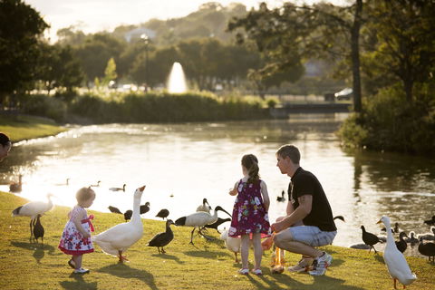Lake Alford Recreational Park - Mackay Tourism 0