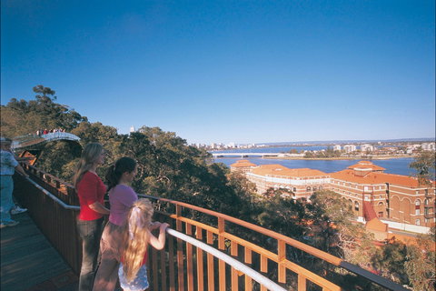 Law Walk - Kings Park - Mackay Tourism 1